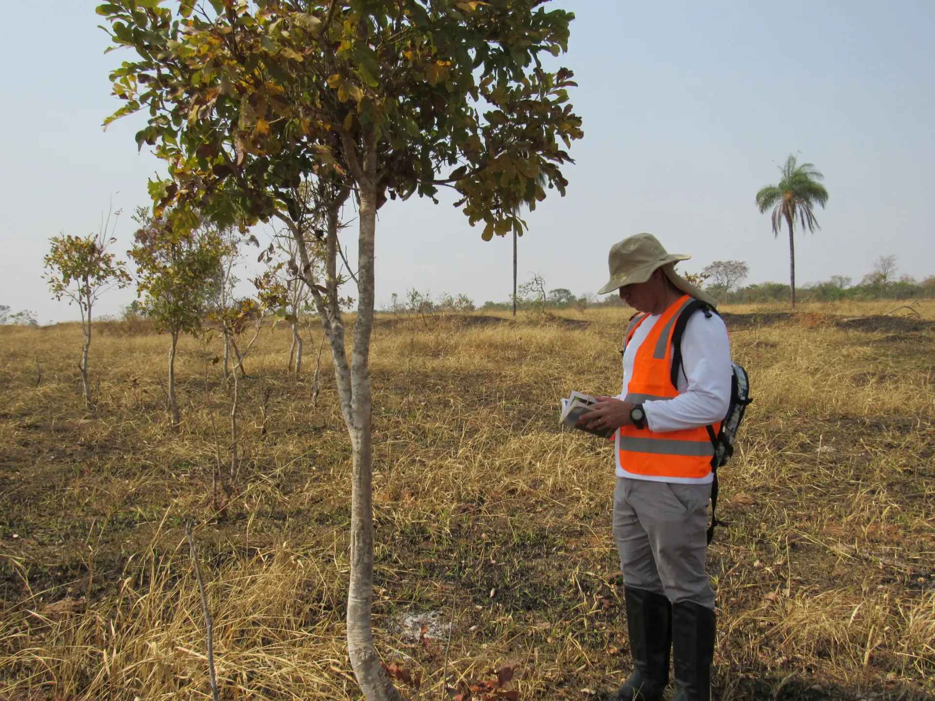 Estudos e Assessoria Ambiental